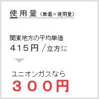 �g�p�ʁ@���j�I���K�X�Ȃ�250�~