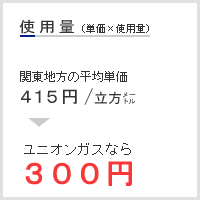 �g�p�ʁ@���j�I���K�X�Ȃ�300�~