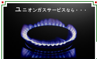 ���j�I���K�X�T�[�r�X�Ȃ�E�E�E